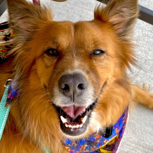 Fundraising Page: Caitlin Braun